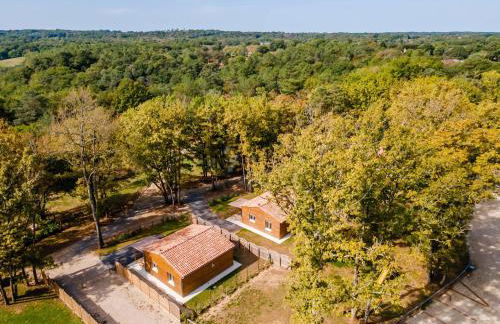 Gite 1 de l'Orée du Bois - Foto 21