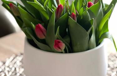 FeWo Storchennest - Foto 6