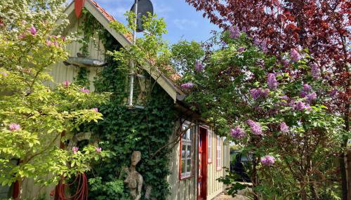 Kleines Haus am Hafen - ruhig und grün am Ortsrand - Foto 3