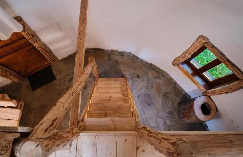 Leśna Kopuła - Foto 21