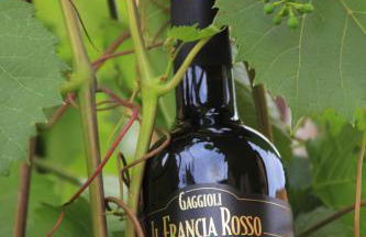 Agriturismo Gaggioli Borgo Delle Vigne - Foto 55