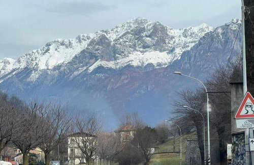 La coccinella - Foto 8