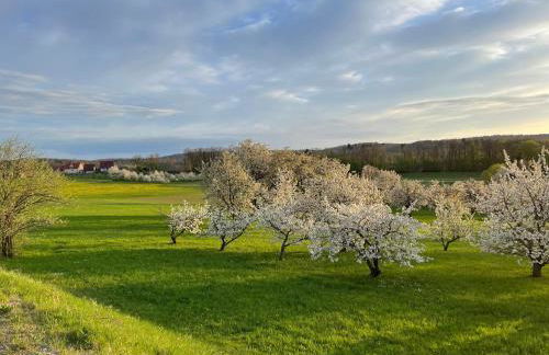 Holzferienhaus - Foto 71