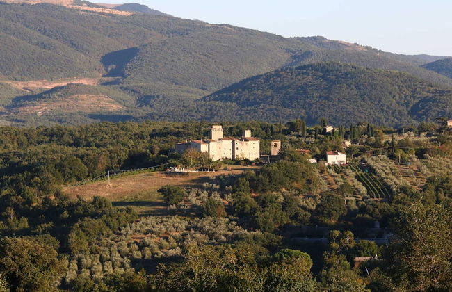 Historic Castle With View - Photo 30