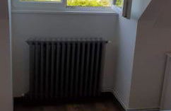 Le bélouga - Foto 9