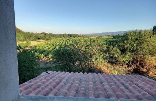 Domaine Saint Augustin - Foto 15