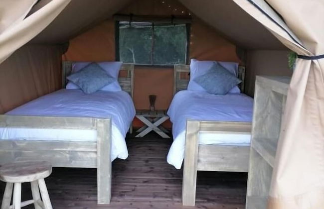 Ferme du Caroire - Foto 4