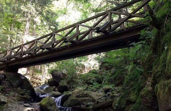 Holiday Apartment Tannenblick - Foto 11