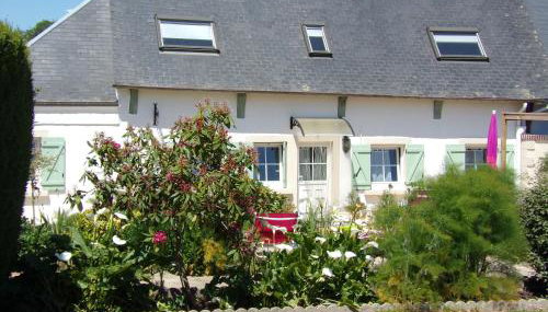 La ciboulette - Photo 2