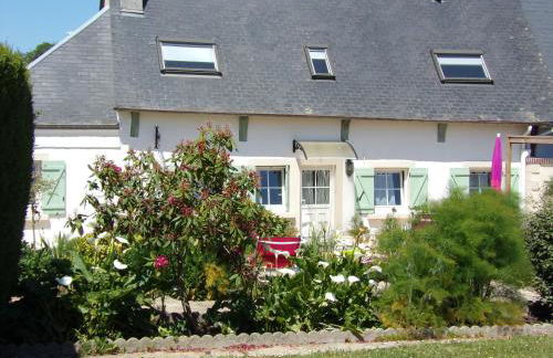 La ciboulette - Foto 2