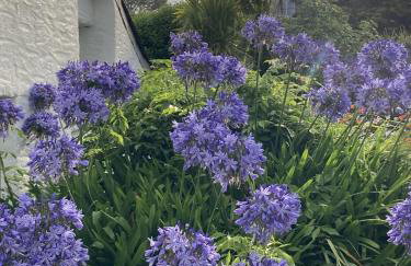 Finest Retreats - Porth Cottage - Foto 18