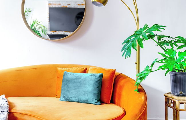 The Urbn Jungle - Photo 36