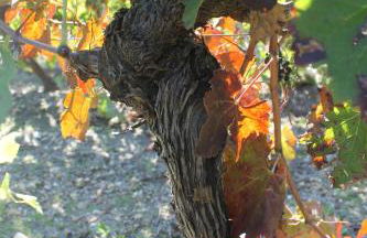 Gîte Le Pressoir - Photo 35