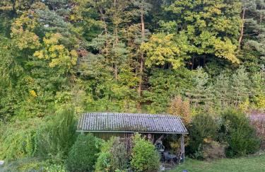 Franziska's Ferienwohnung - Die Unterkunft in ruhiger Lage direkt am Wald - Foto 38
