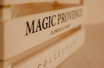 NAPAIMBE Sierra - Foto 22