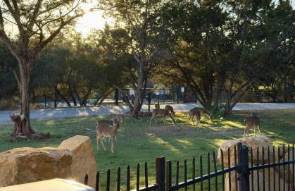 Spacious Family Gem, Close to Lake, Hot Tub - Foto 11