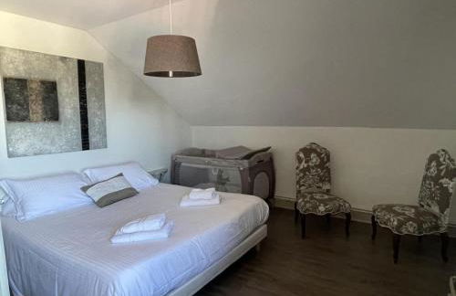 La gare aux oiseaux - Foto 32