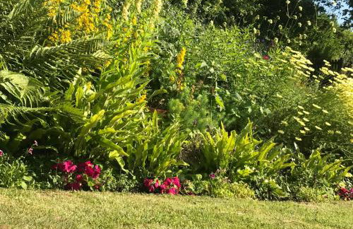 The Cottage Abbotsbury - Foto 38