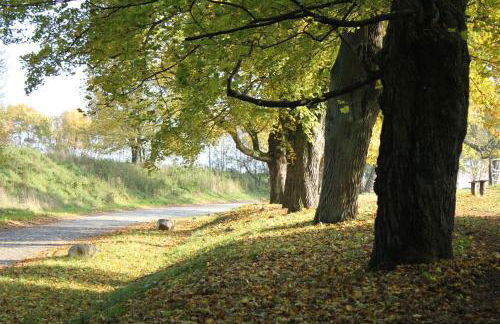 Ferienwohnung Am Weltnaturerbe Grumsin - Foto 26