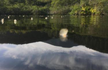 Casa Amarela - Foto 20