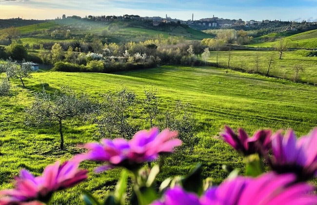 Agriturismo La Corte del Sole - Foto 70