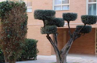 Encantador Ático a 2,6 km de la Playa - Foto 57