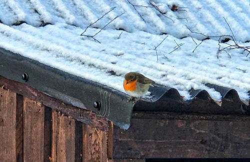 Fern Lodge - Foto 26