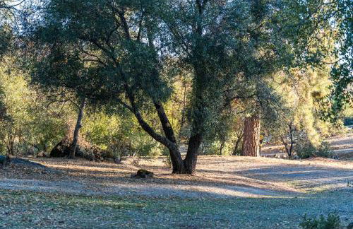 Lupine Landing - Foto 54