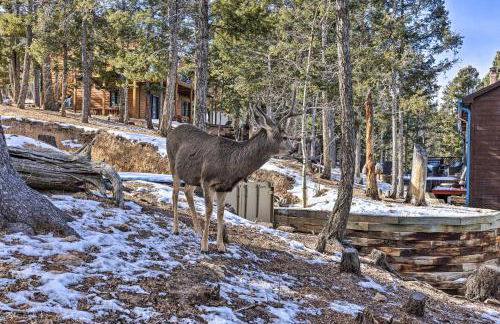 Woodland Park Home with Stunning Mountain Views - Foto 38