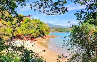 Apartamento Novinho na Praia de Palmas em Gov Celso Ramos - Photo 38