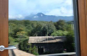 Palmento Milo Agriproduction - Foto 21