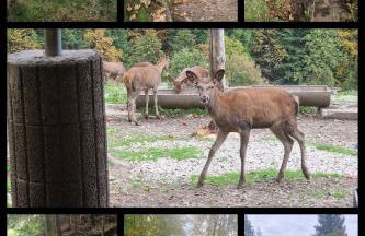 Panoramablick Bermersbach - Foto 16
