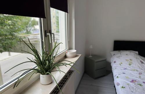 Rhein-Main Apartment in Hattersheim - Foto 19