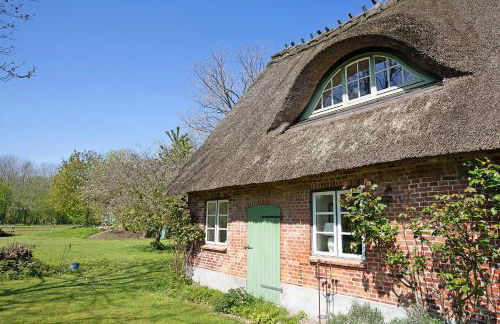 Ferienwohnung Galerie unterm Reet - Foto 2