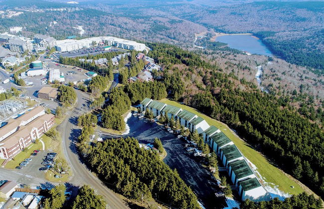 Leatherbark - Foto 18