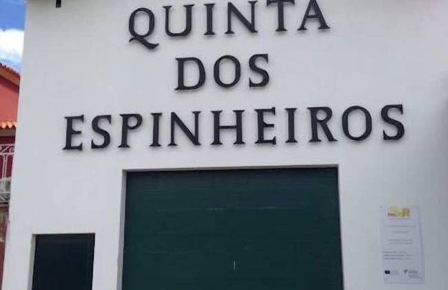 Quinta dos Espinheiros - Foto 39