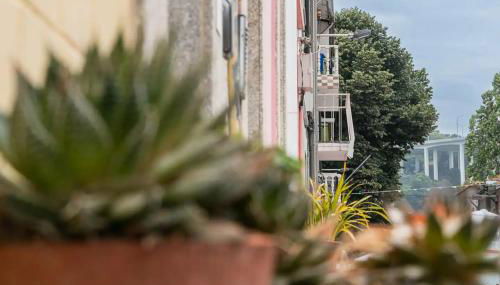 Cosy House in Porto Marina - Foto 3, Garden, Garden view