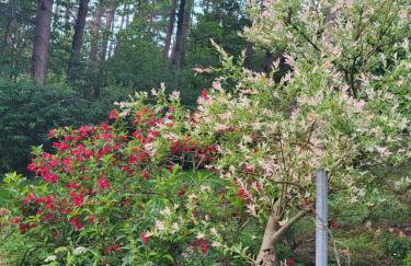 Zacisze Huta - Foto 9