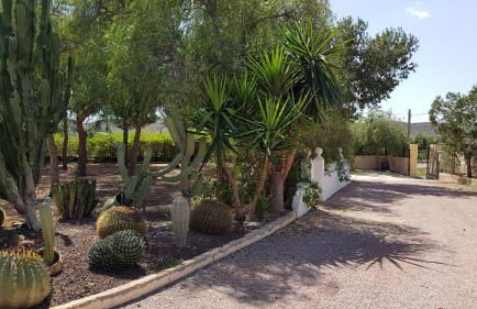 Chalet Bacarot - Photo 10