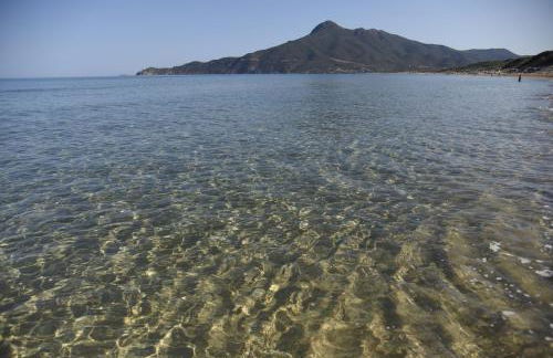 VivIglesias - Photo 36