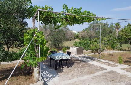 Uliveto Sant' Isidoro - Foto 38