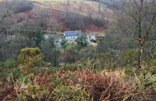 Barham Cottage - Foto 16