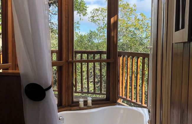 Teniqua Treetops - Foto 52