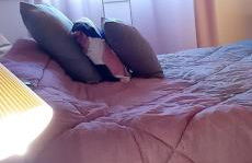 La Casa Di Cavazzona - Photo 4