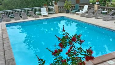 Les Papillons - Photo 1