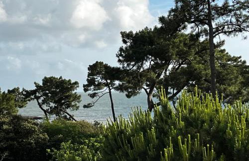 Côté plage Nauzan Vue mer - Foto 12