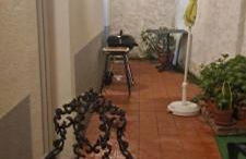 Cozy Studio - Chalé Seixal - Foto 10