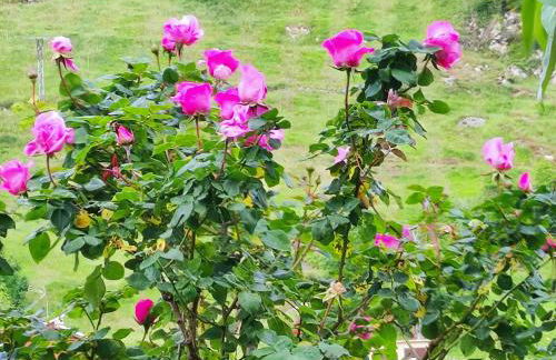 Casa de Aldea CASA MON - Foto 25