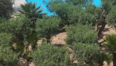 casa vacanza rosariomaria - Foto 5