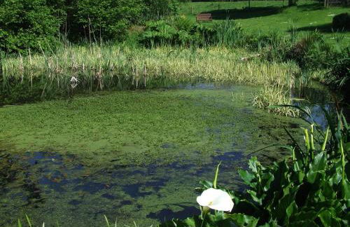 Glascoed Coach House Whitland - Foto 13